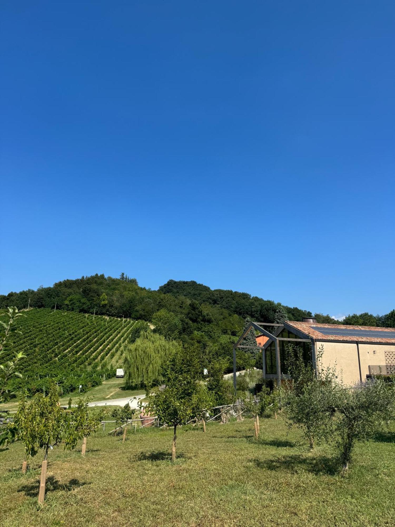 Corte D'Aibo Monteveglio Exterior photo